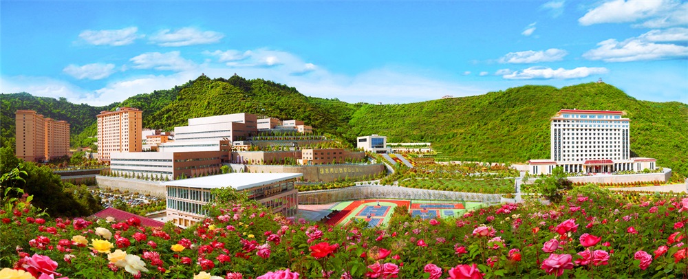 三季有花、四季常青的金徽股份.jpg