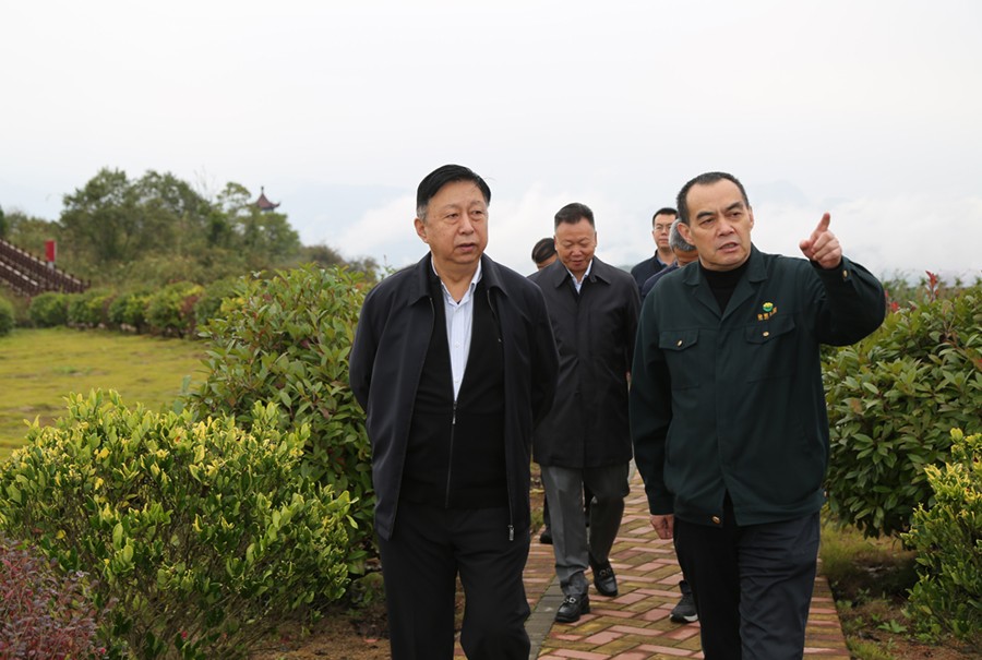 19-2021年10月，原國土資源部副部長汪民蒞臨公司調(diào)研。.jpg
